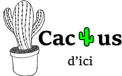 Cactus d'ici à Québec offrant des services et/ou produit tel que Pour la maison, Fleuristes, Autres fait partie du répertoire de PME d'ICI un répertoire que propulse gratuitement les entreprises Québécois.